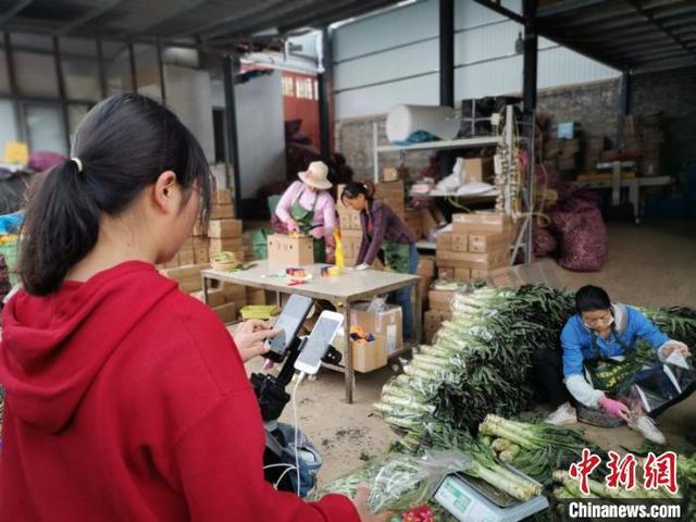 云南大理90后女孩直播卖农产品年销售额超千万